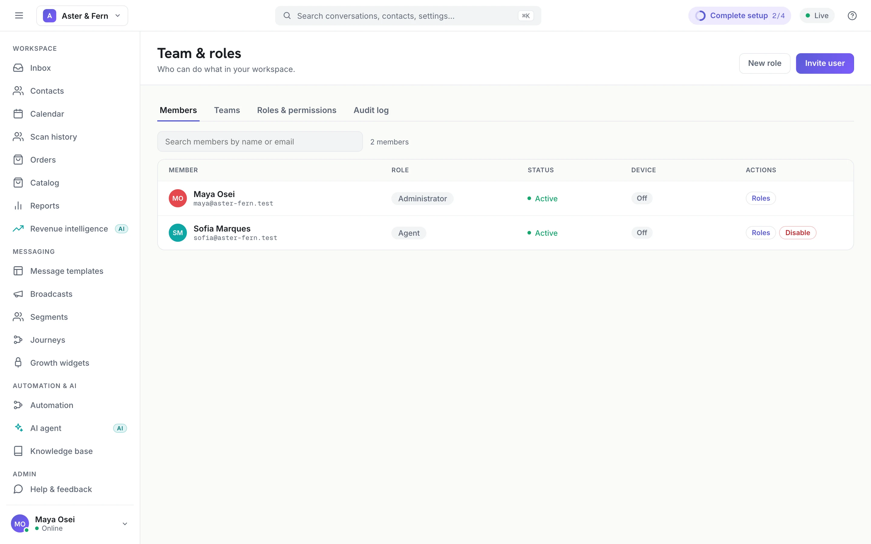 The Team & roles screen, listing two members with their roles and status